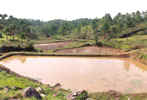 Water Harvesting