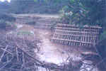 WDPSCA