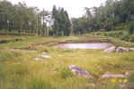 Water Harvesting