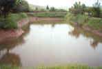 Water Harvesting