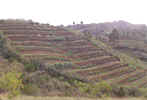NABARD RIDF-V