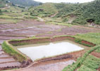 Water Harvesting