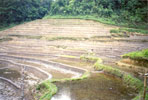 NABARD RIDF-V