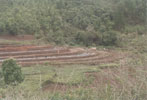 Terracing