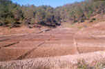 NABARD RIDF-V