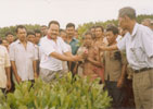 WDPSCA