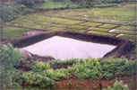 NABARD RIDF-V