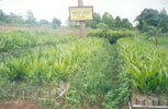 Nursery