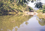 Water Harvesting