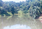 Water Harvesting
