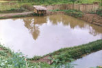 Water Harvesting