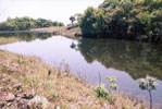 Water Harvesting