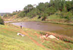 Water Harvesting
