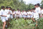 Training