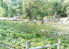 Nursery