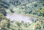 WDPSCA