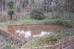 WDPSCA