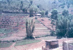 WDPSCA