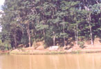 Horiticulture