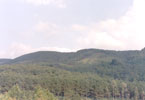 Afforestation