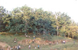 Horiticulture