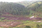 NABARD RIDF-V