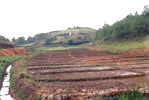 Terracing