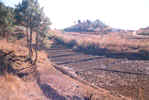 Terracing