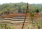 Terracing