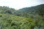 Terracing