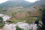 Terracing