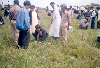 Tree Planting Programme