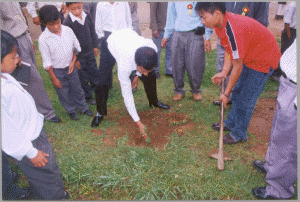 World Environment Day