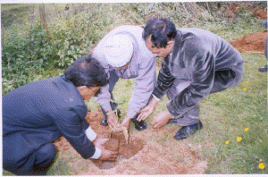 World Environment Day